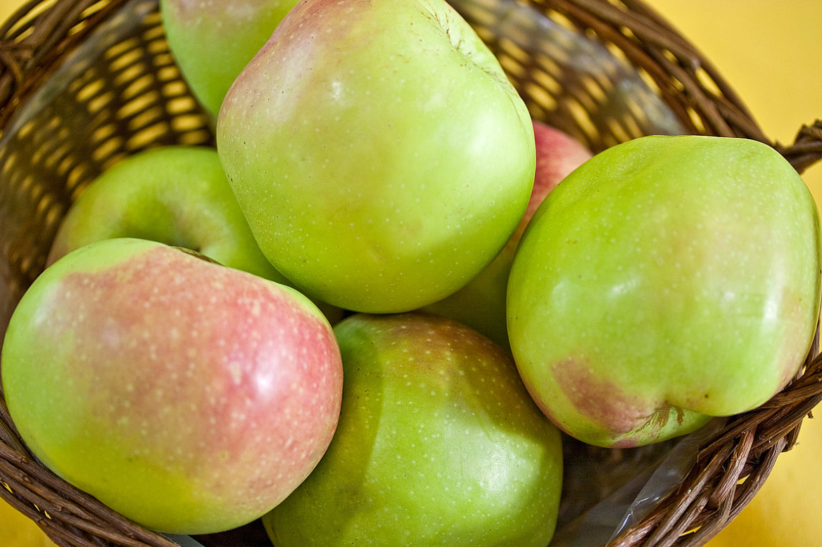 Gloria Apple - Coming Soon